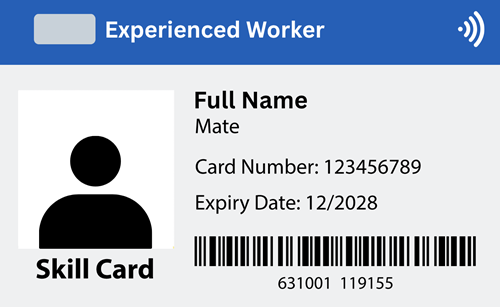 Blue - Experienced Worker